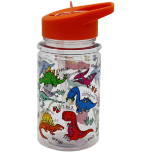 Dinosaurs Lesser and Pavey Kids Water Bottle