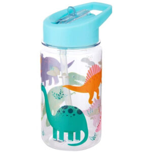 Roarsome Dinosaur Sass & Belle Kids Water Bottle