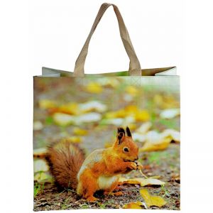 Squirrel TP138 Shopper Bag