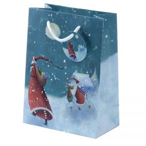 Jan Pashley Santa Festive Gift Bag - Small