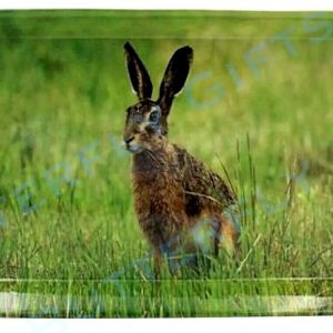 The Leonardo Collection Medium Melamine Serving Tray -Hare